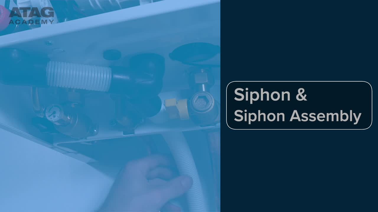 Siphon & Siphon Assembly